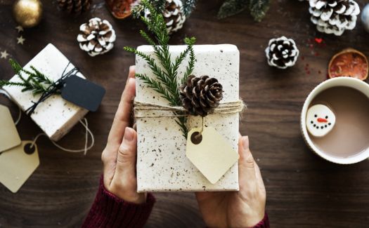 Amazon Christmas Gift most popular ideas for your family